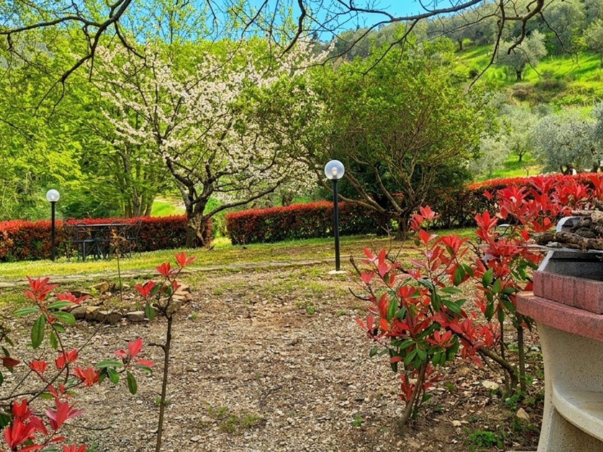 Rosmarino - Buiten