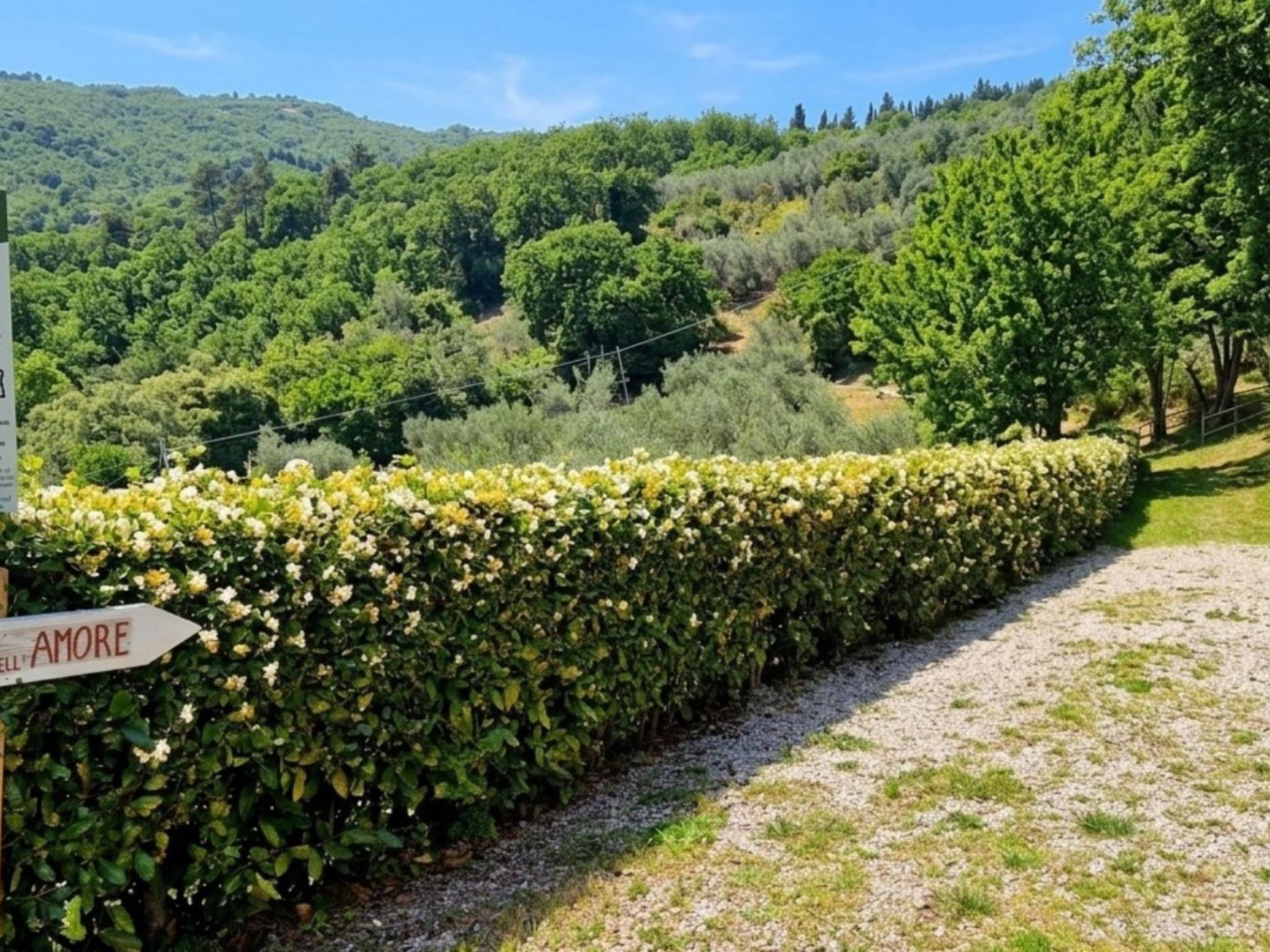 Alloro - Buiten
