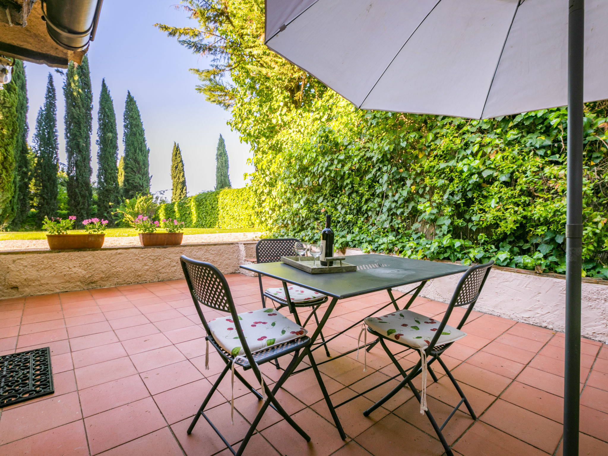 Photo of Bardeggiano - Caterina 8 (COL243)