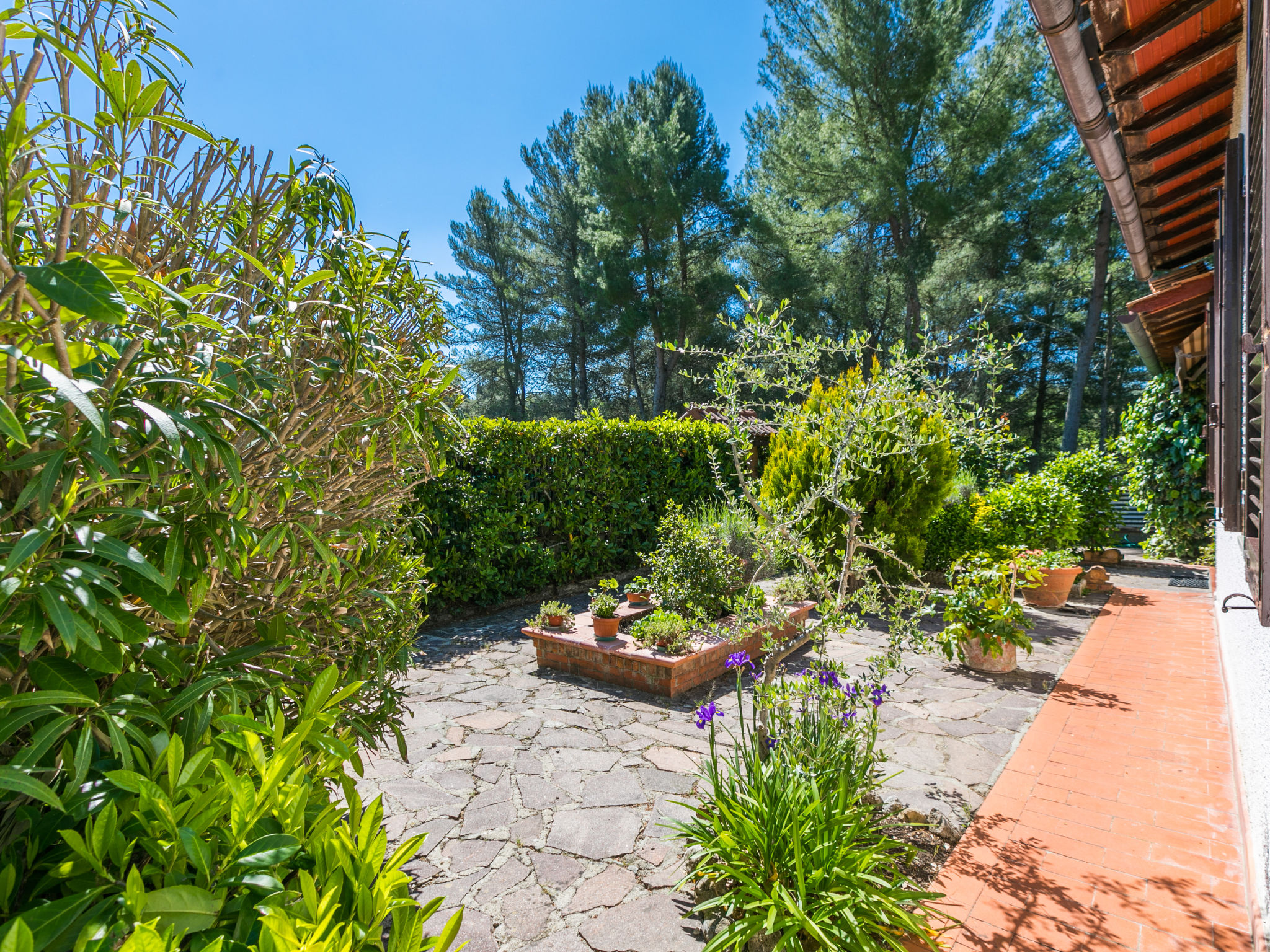 Photo of Villa Francesca