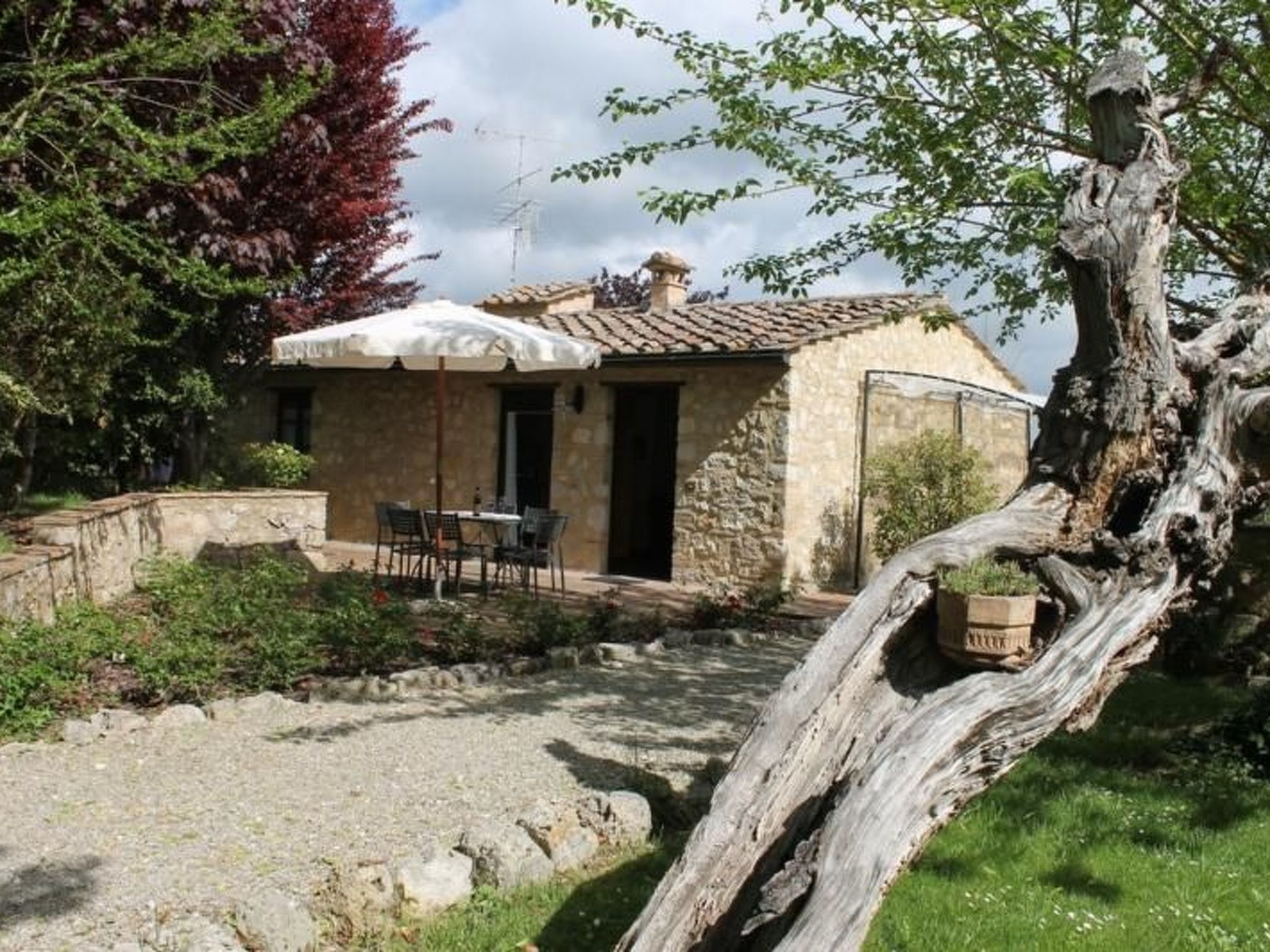 'Santinovo olivo' mit Pool Apartment in San Gimignano