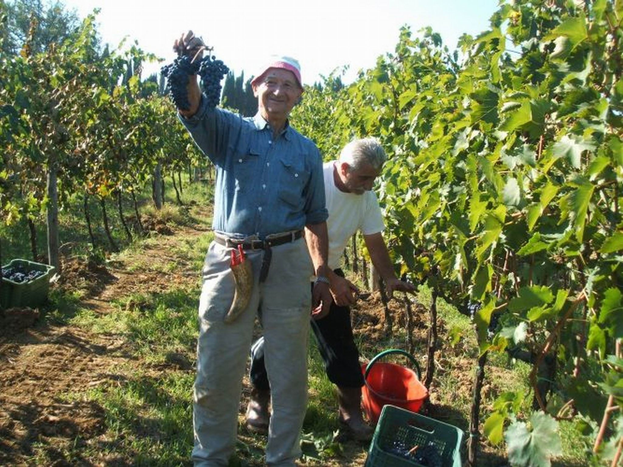 Photo of 'Santinovo olivo' mit Pool