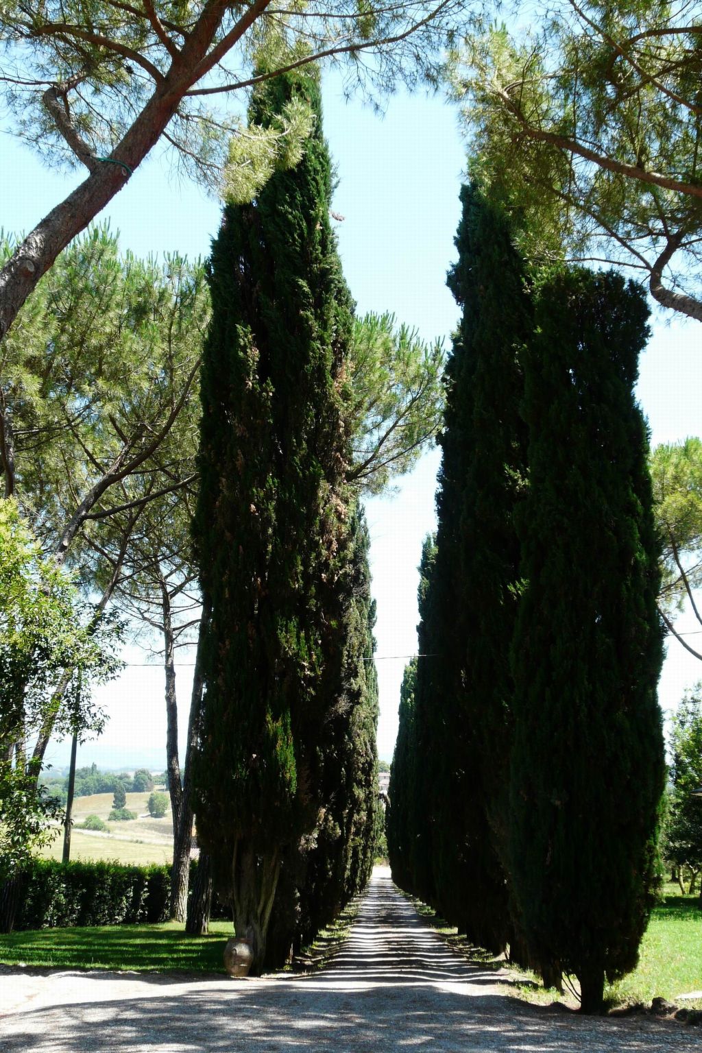 Photo of Santinovo belvedere Ferienwohnung