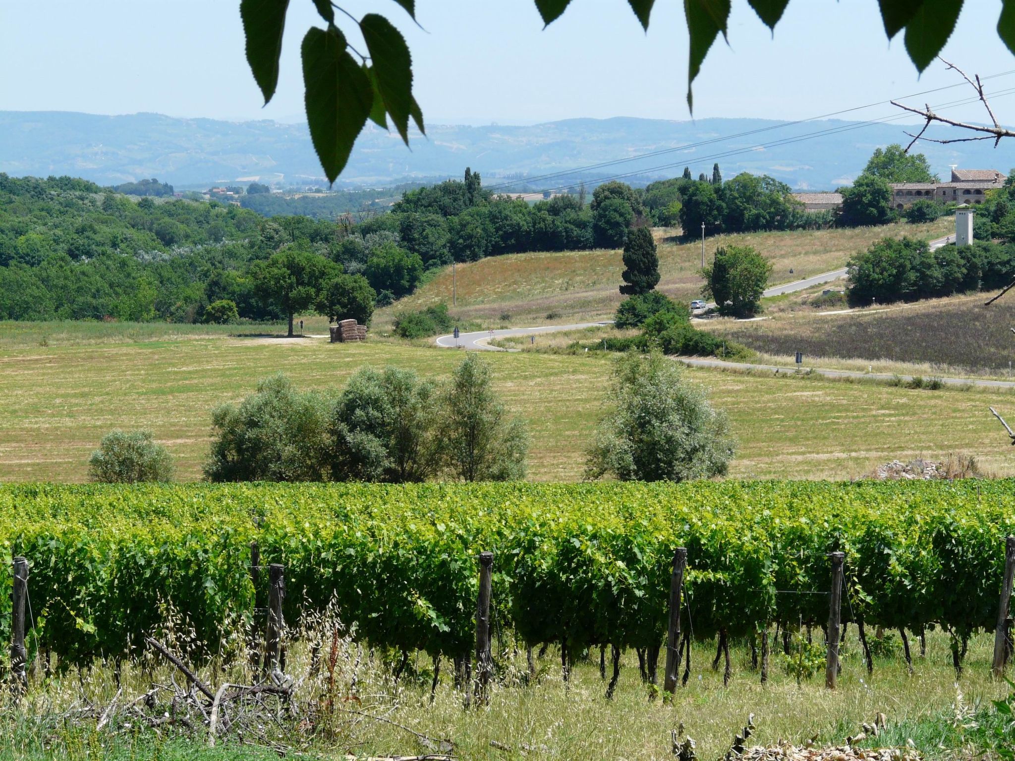 Photo of 'Santinovo stalla'