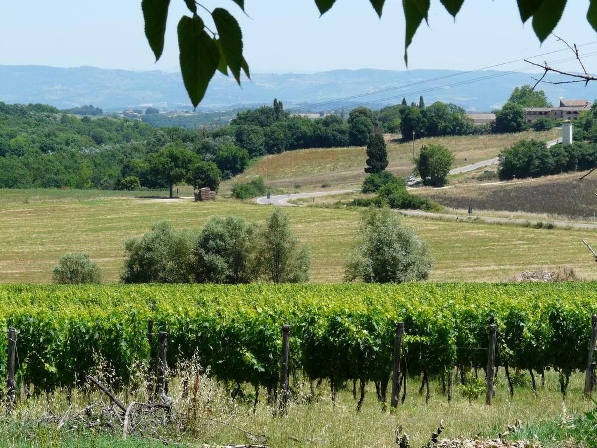 'Santinovo stalla'-Image-tags.info