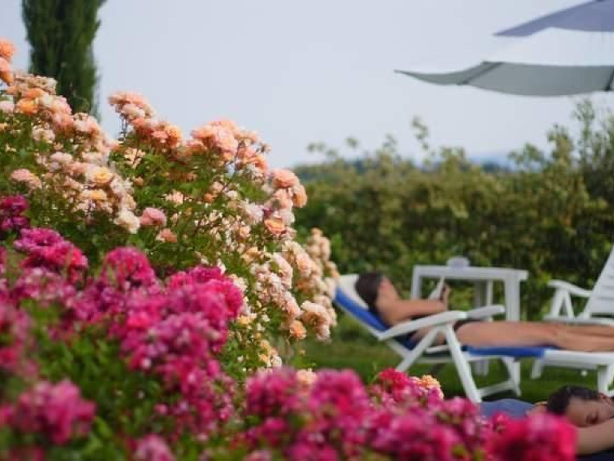 Ferienappartement mit Garten und Panoramablick-Binnen