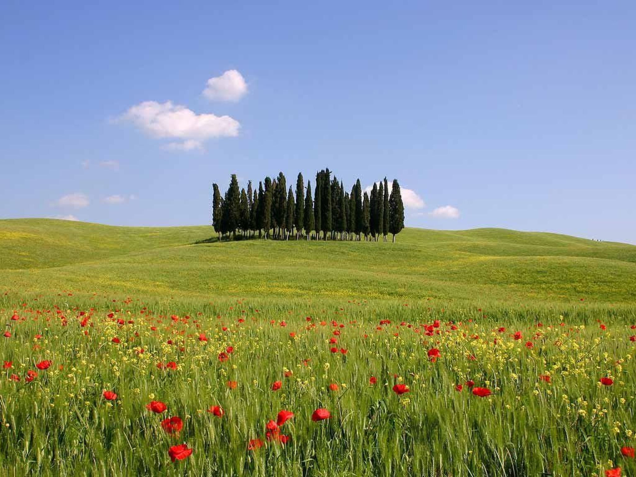 Ferienappartement mit Garten und Panoramablick-Binnen