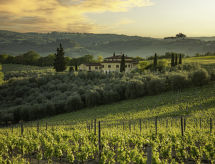 Authentiek Toscaans landhuis met privézwembad bij San Gimignano - thumbnail 1