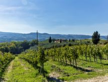 Casa di vacanze Podere San Michele