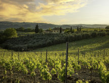 Casa di vacanze Podere San Michele