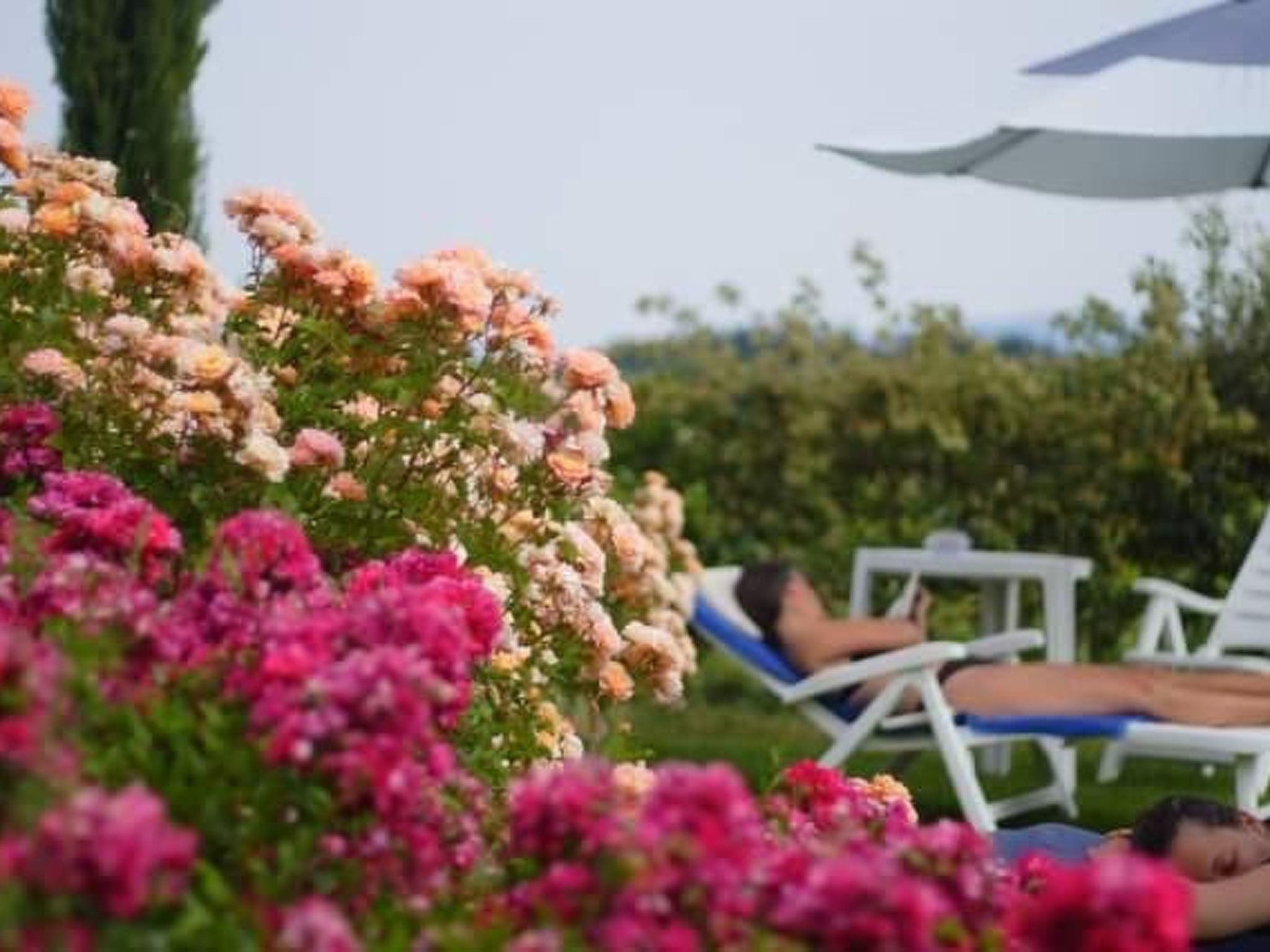 Panorama wohnung IL GIRASOLE-Binnen