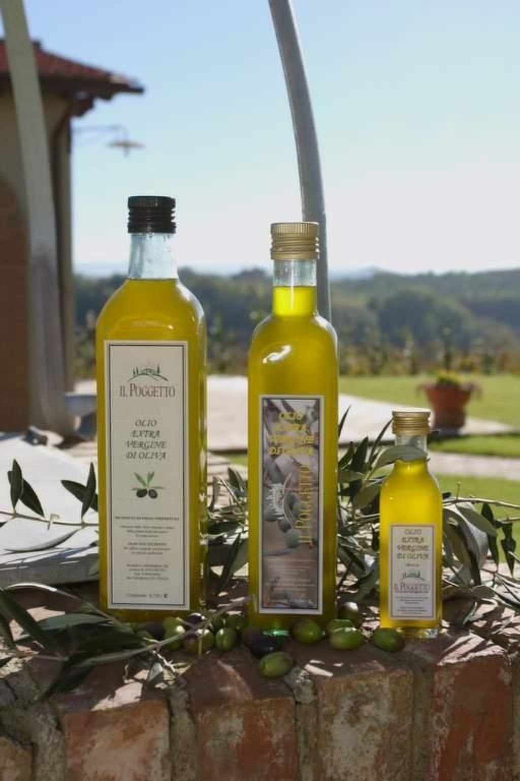 Panorama wohnung IL GIRASOLE-Binnen