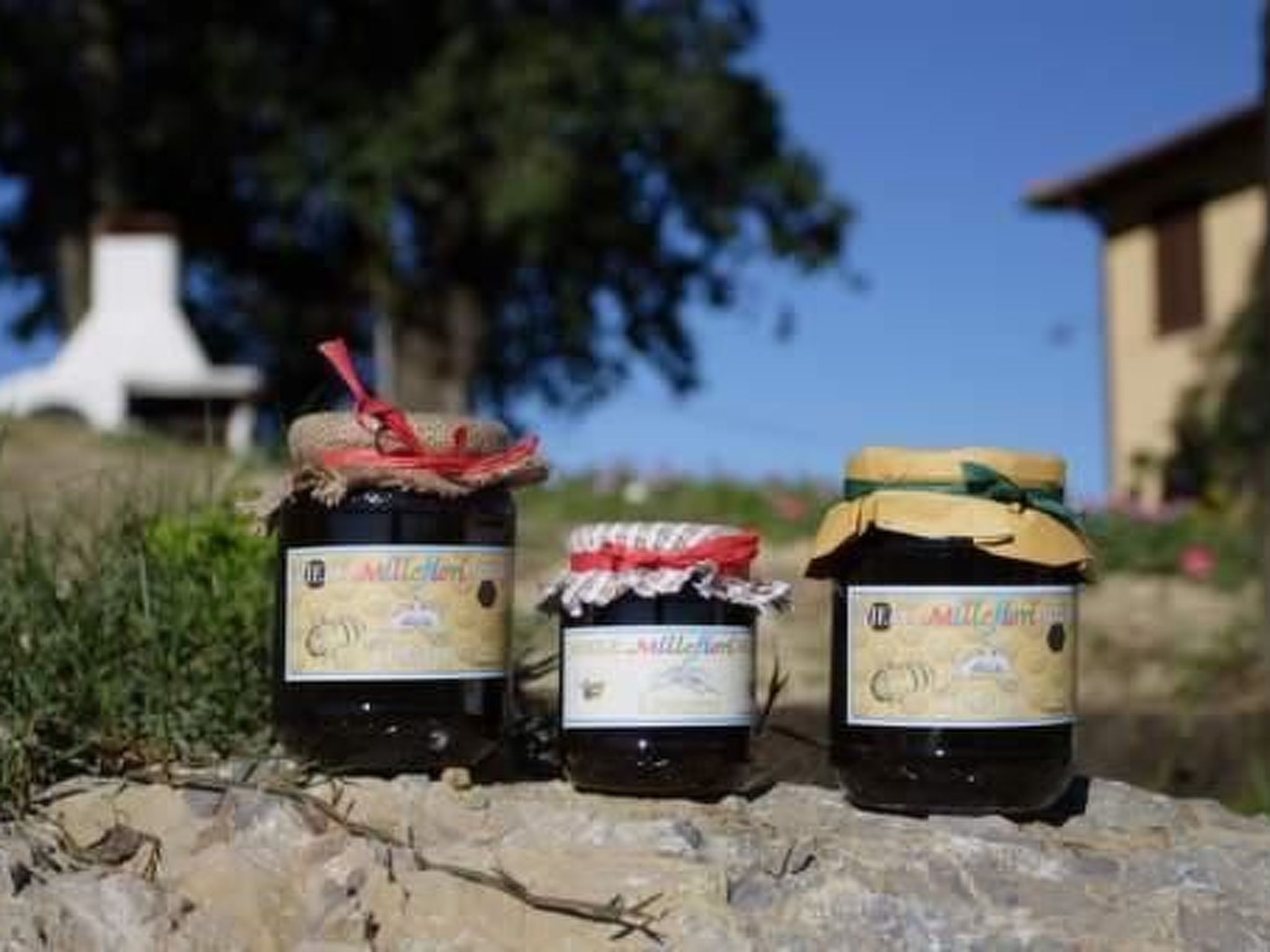 Panorama wohnung IL GIRASOLE-Binnen