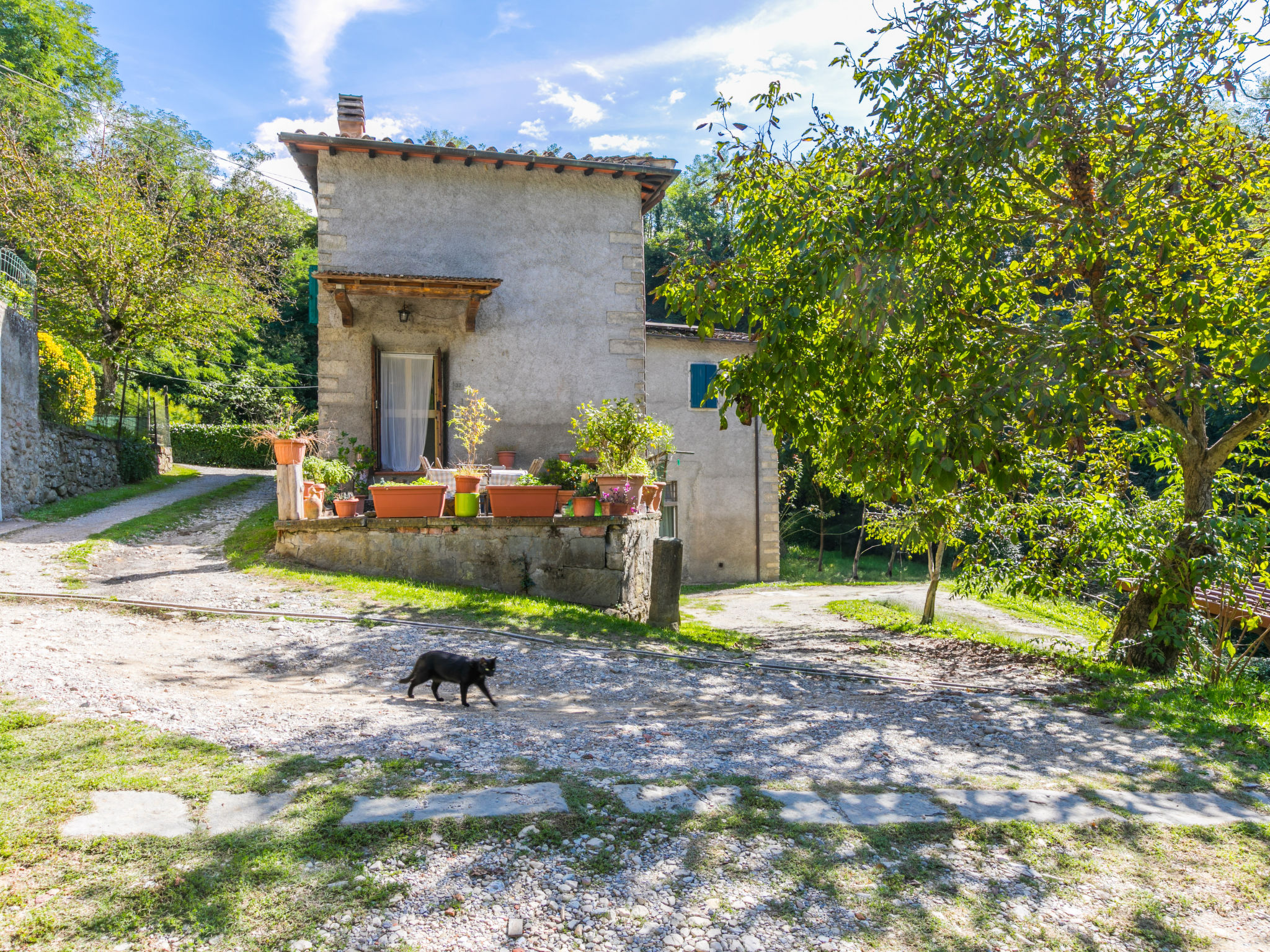 Il Mulinaccio