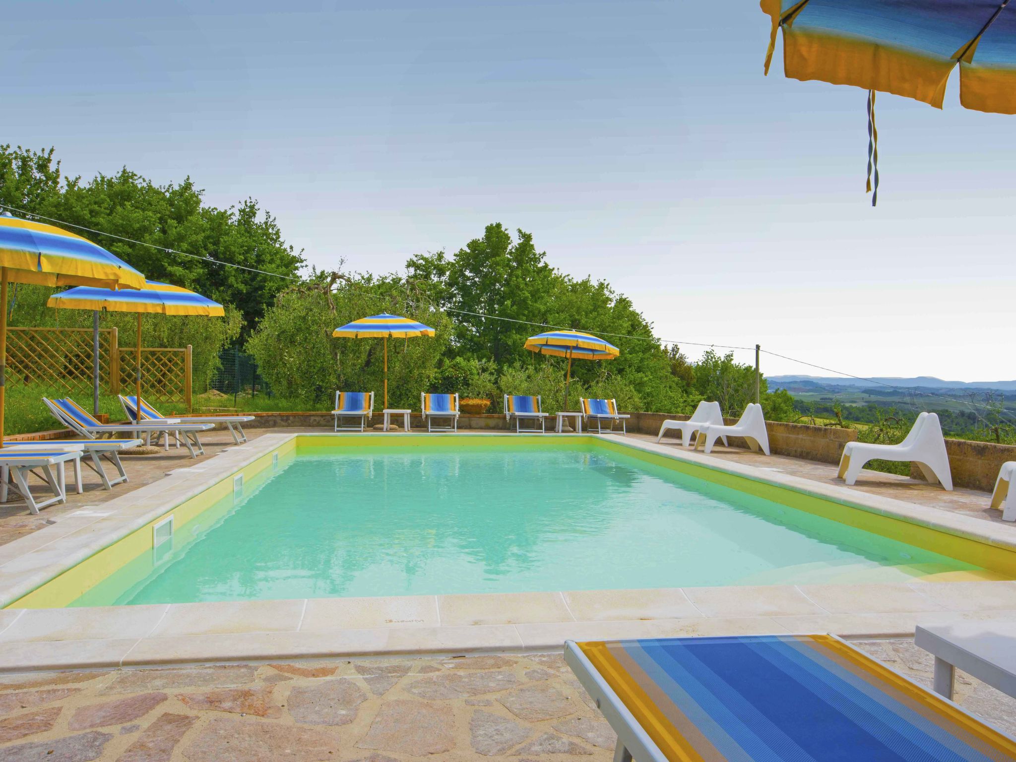 Photo of La Salamandra