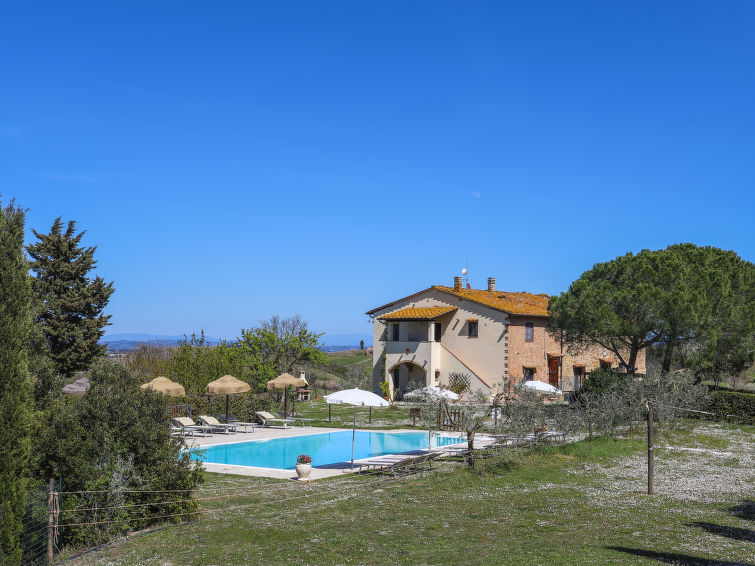 Podere Sant'Anna, Girasole