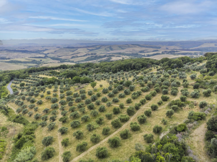 Photo of Antica Pietra