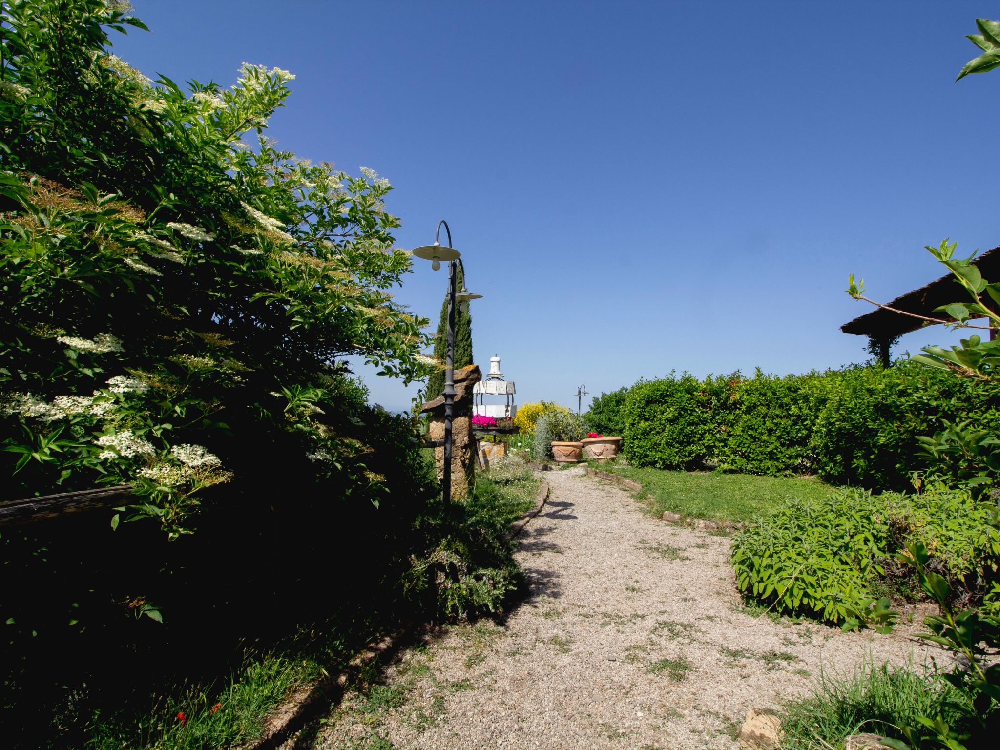 Photo of IT5265.628.1