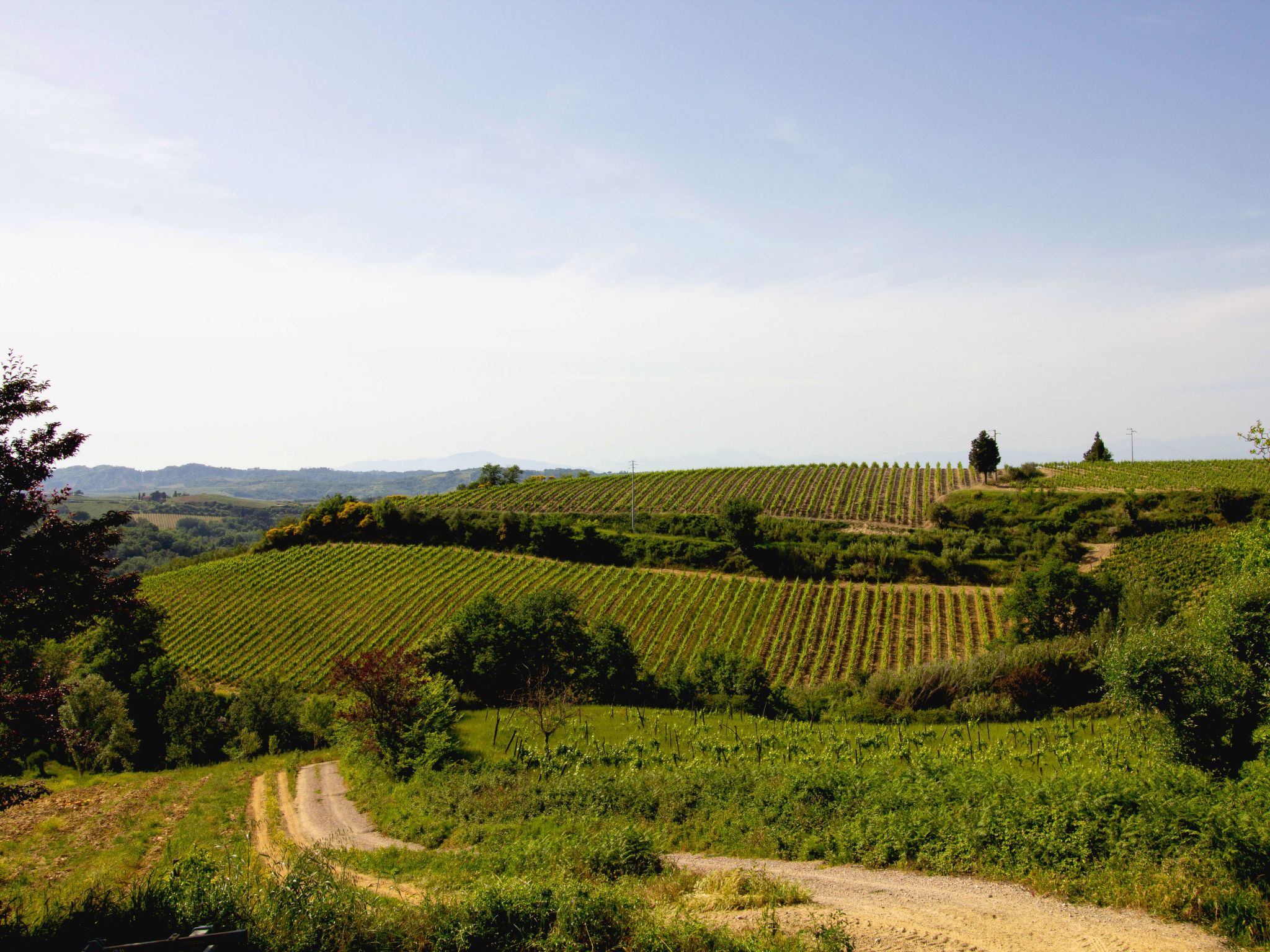 Photo of IT5265.628.1