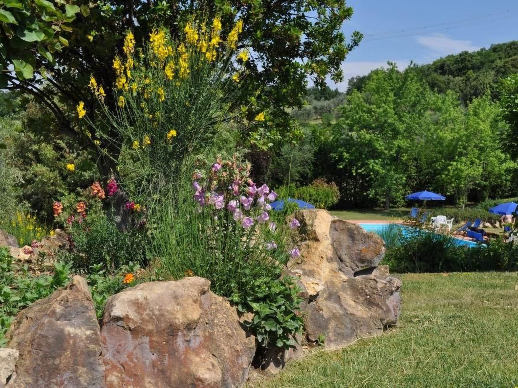 Photo of Madonnino Cypress Ferienwohnung