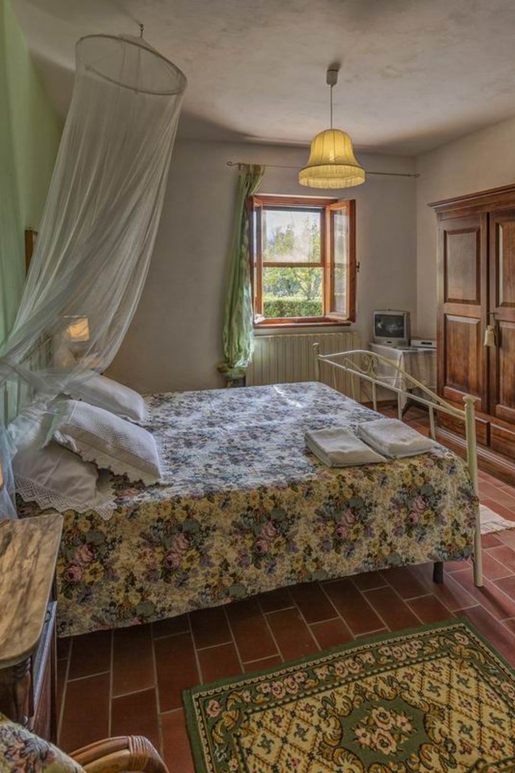 Photo of 'Donatello leccino'