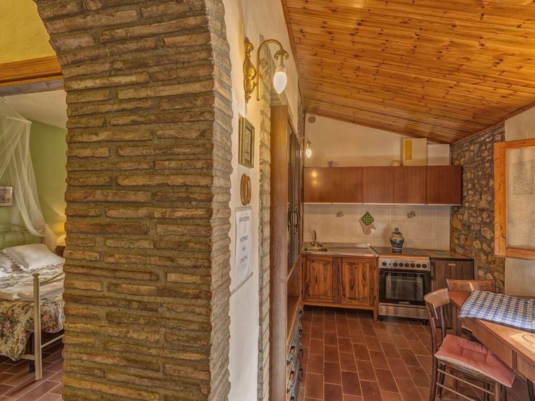 Photo of 'Donatello leccino'