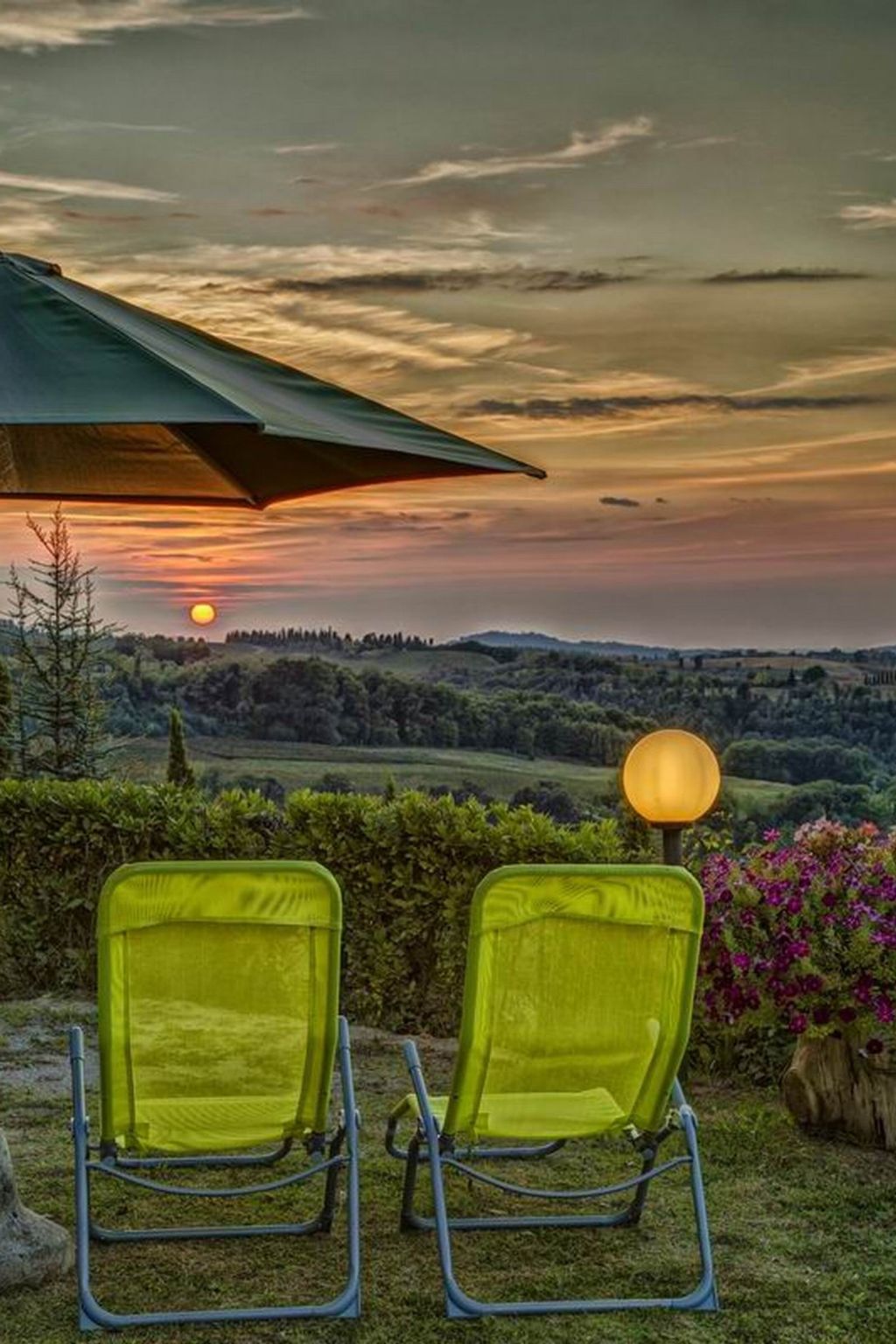 Photo of 'Donatello leccino'