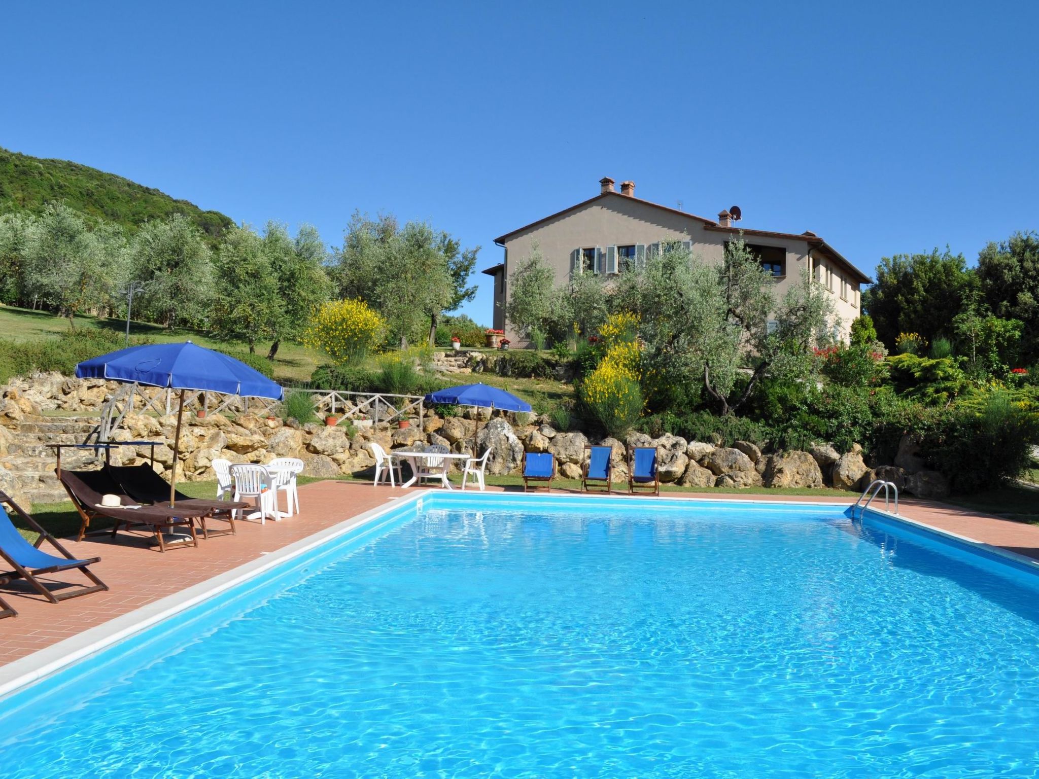 Photo of flach "Madonnino quercia