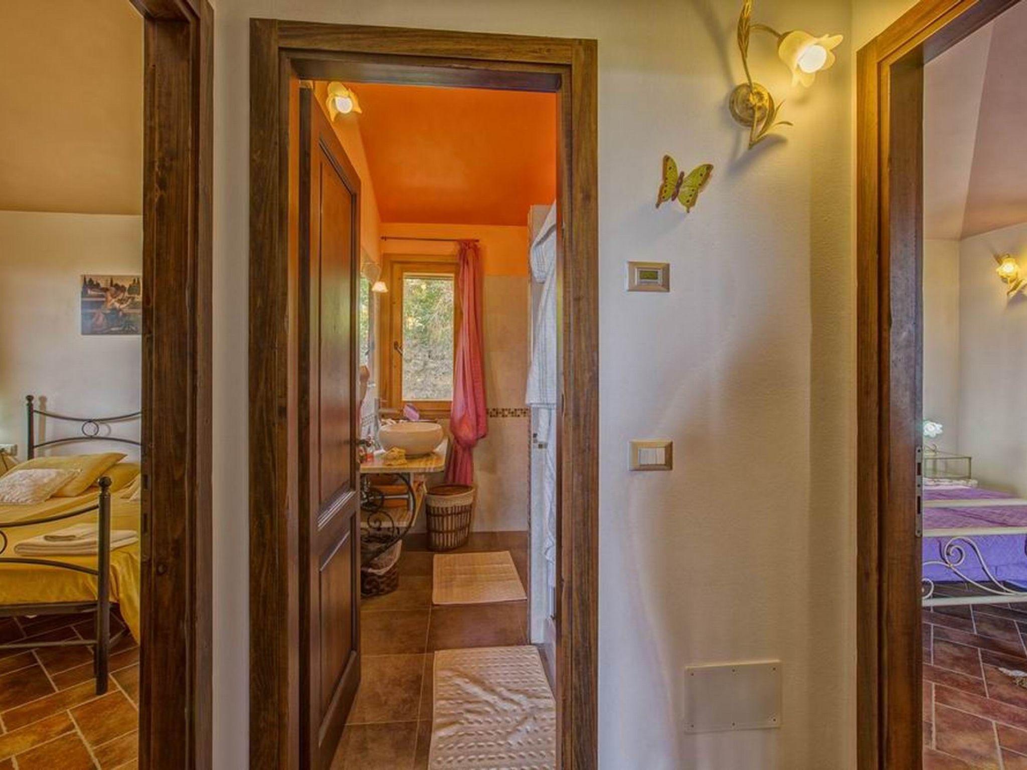 Photo of "Raffaello leccino