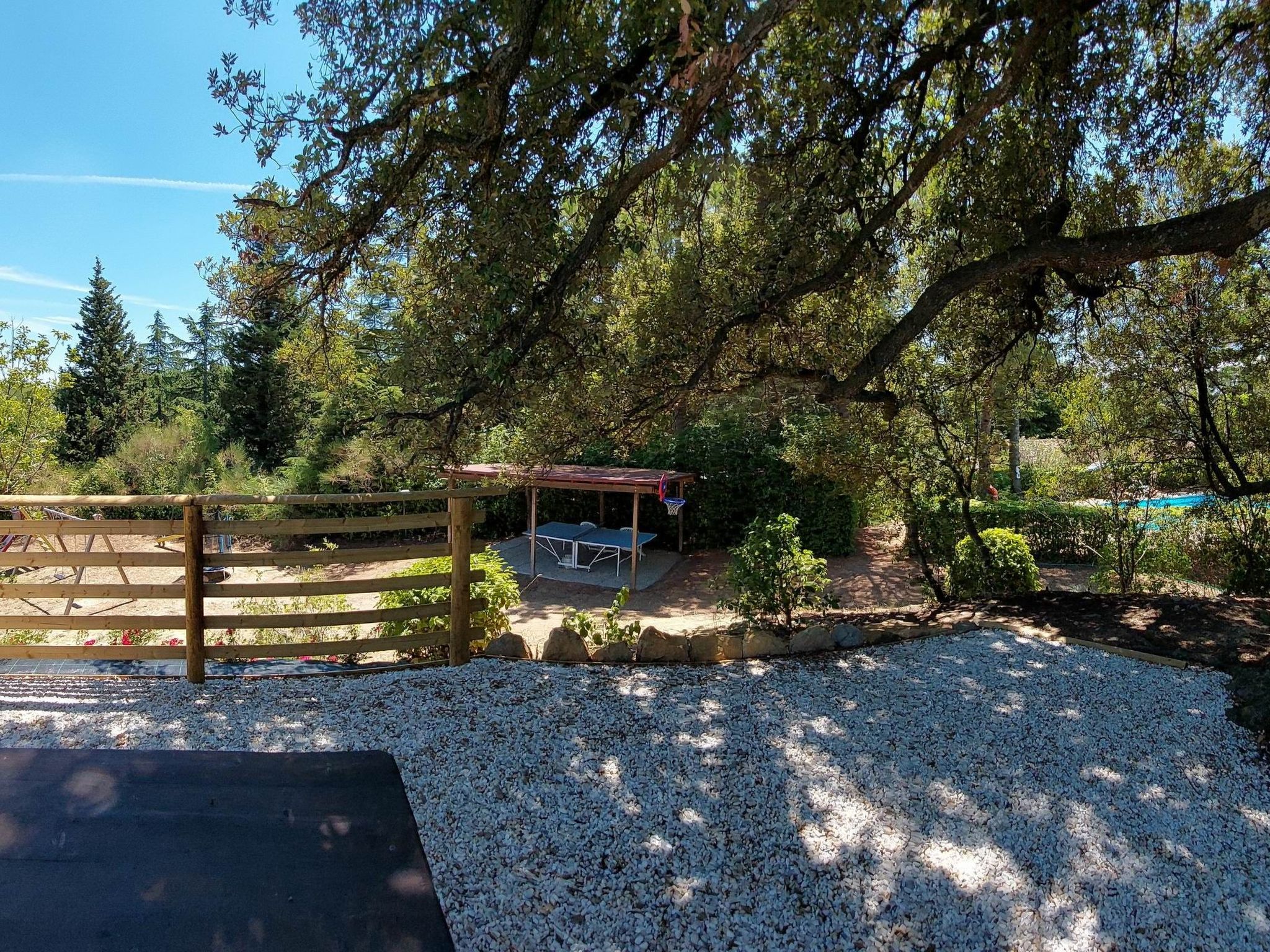 Photo of "Raffaello leccino