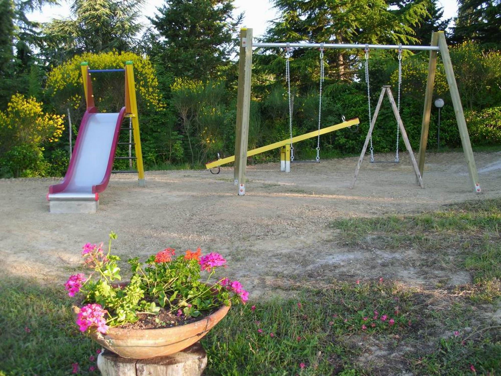 Photo of "Raffaello leccino