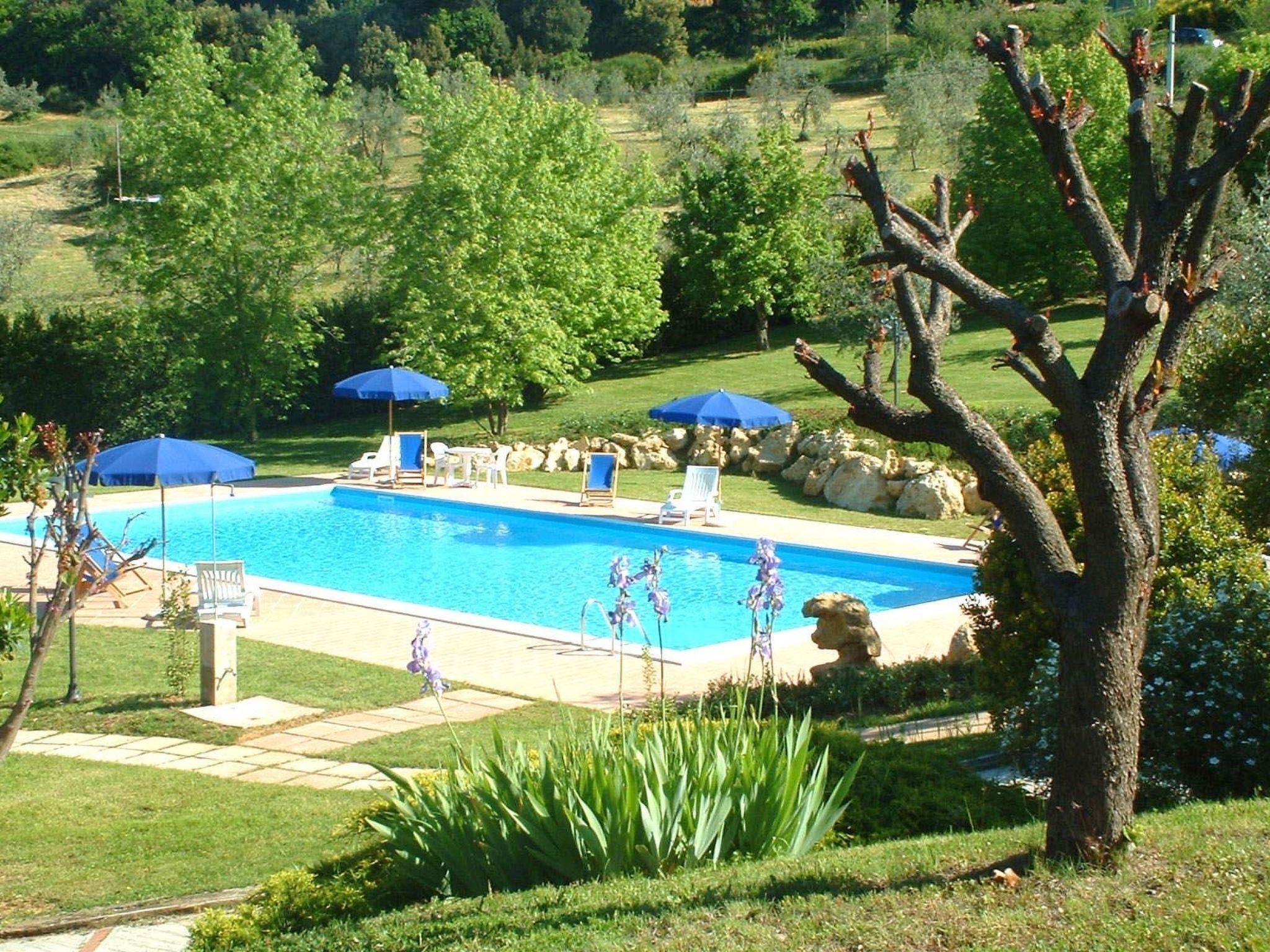 Photo of Madonnino Juniper Ferienwohnung