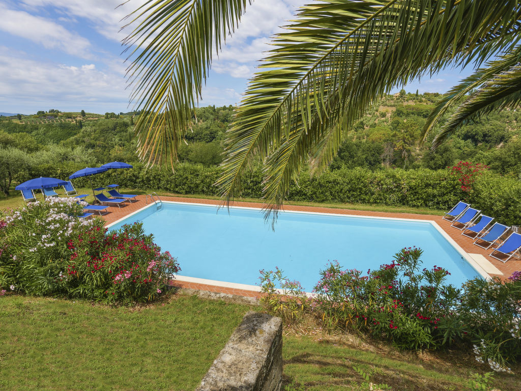 Terra Bianca (PAA136)