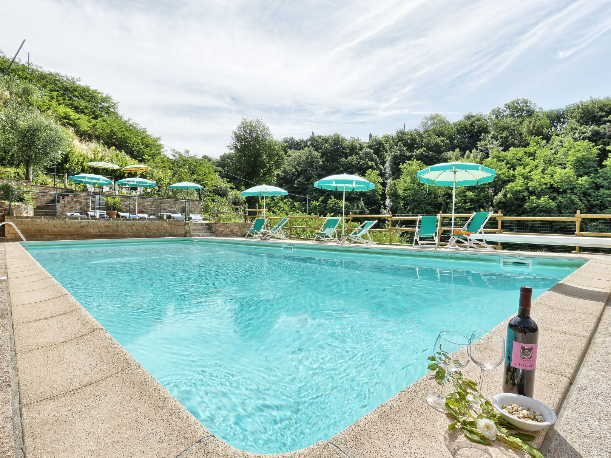 Wohnung in Palaia mit Großem Garten-Dehors