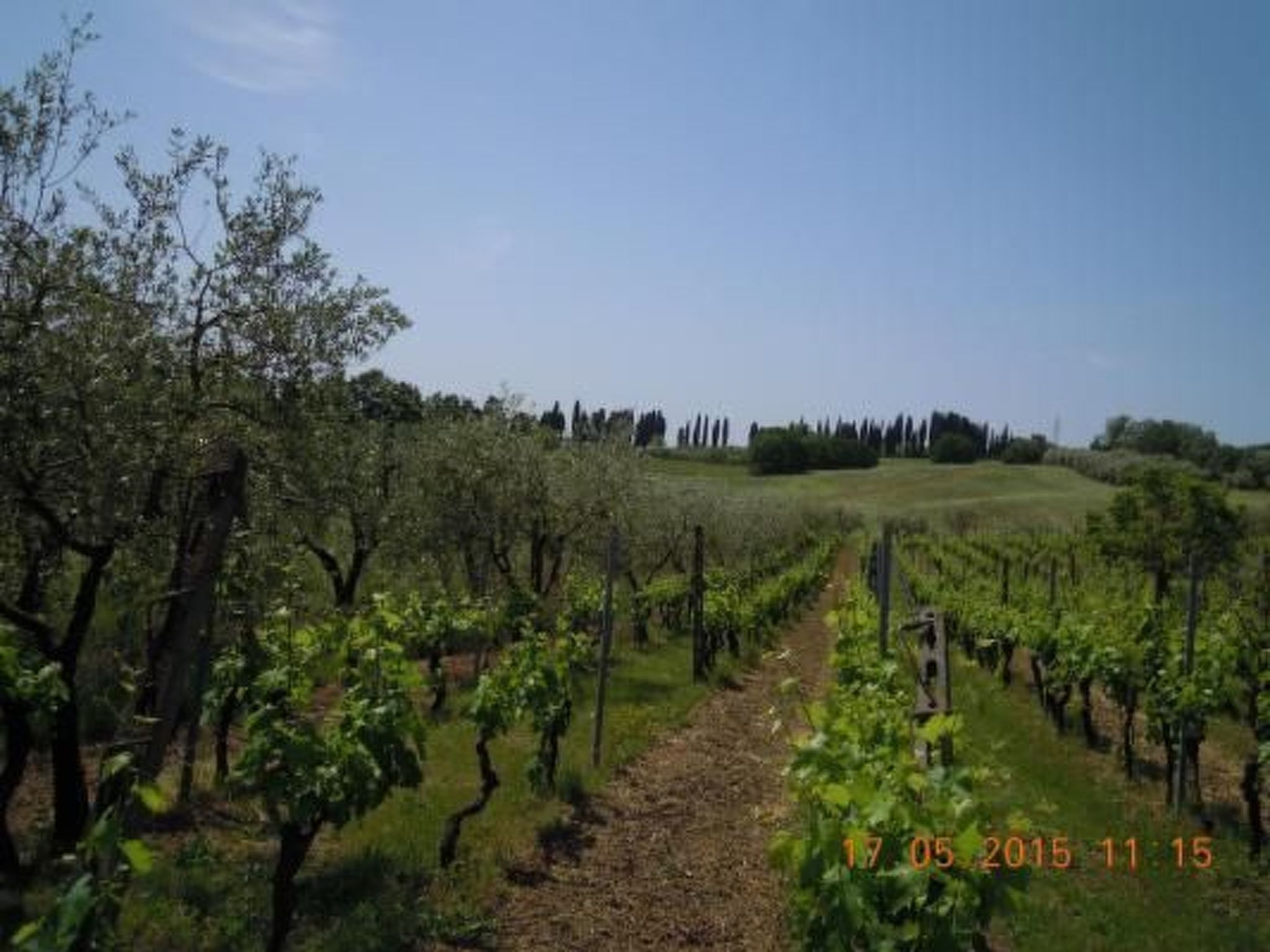 'Historic Palace' mit Terrasse-Image-tags.info