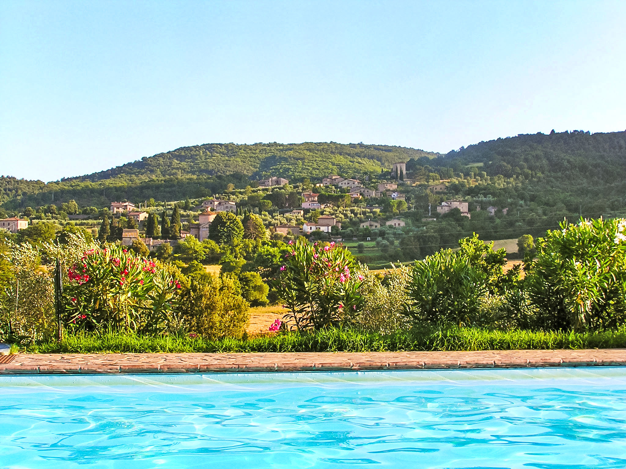 Photo of La Ginestra