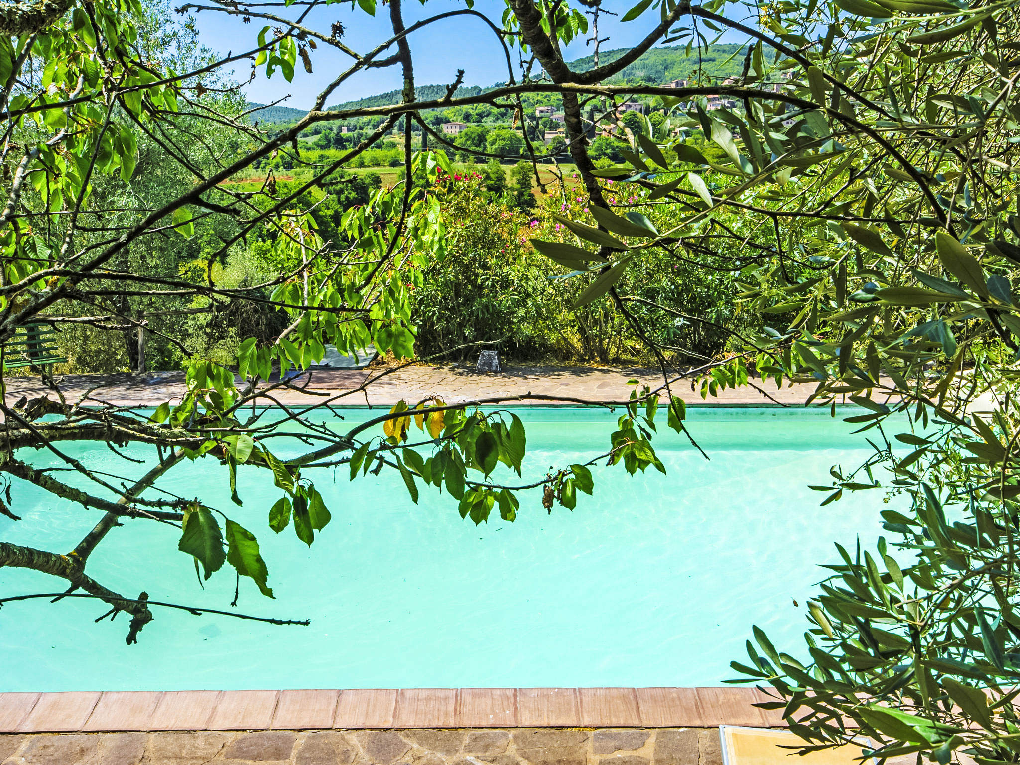 Photo of La Ginestra