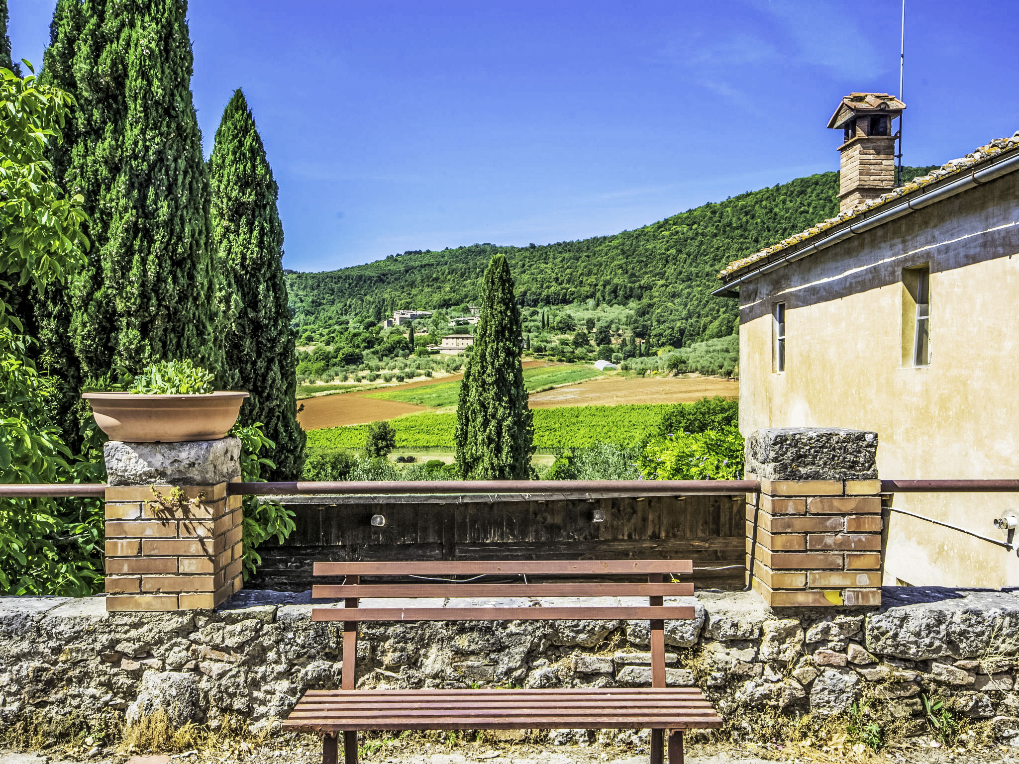 Photo of La Ginestra