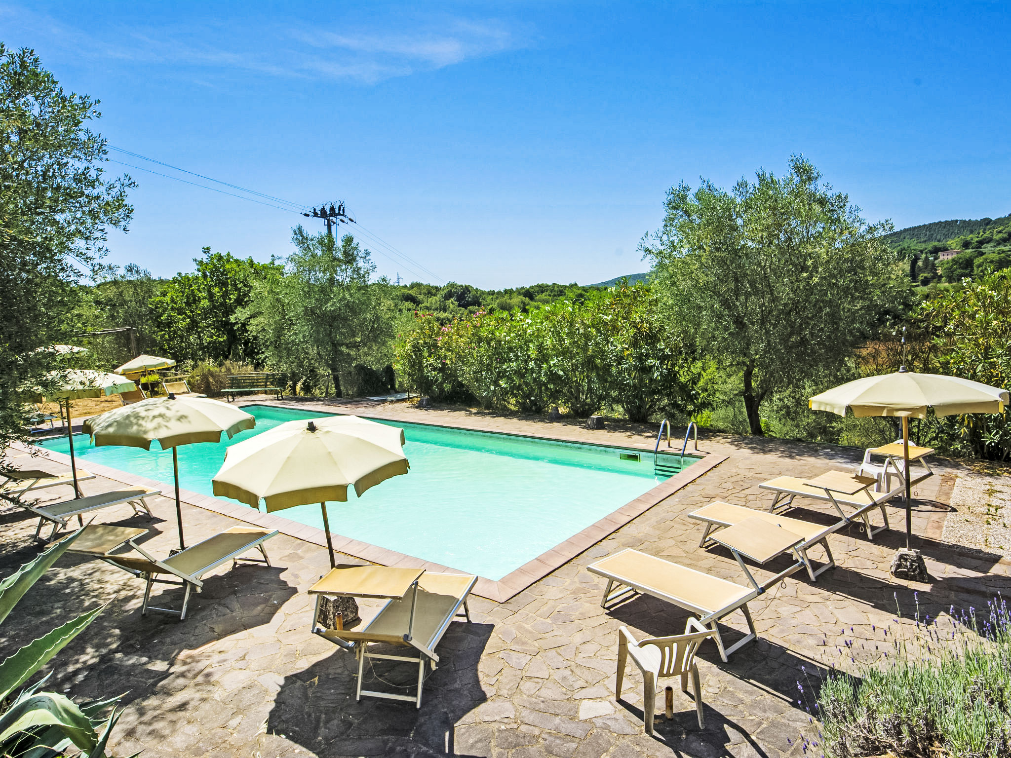 Photo of La Ginestra