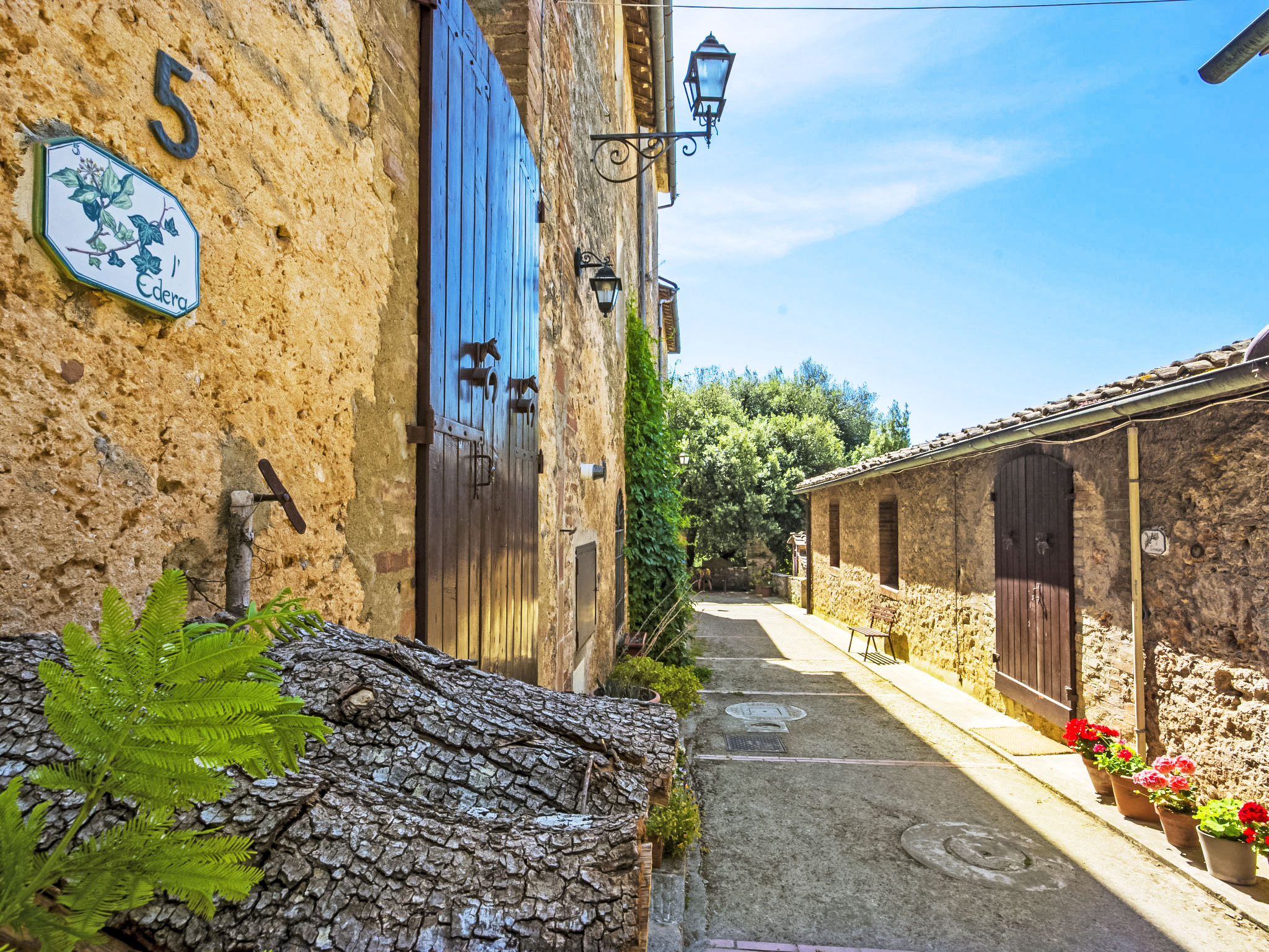 Photo of La Ginestra