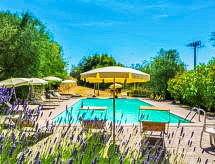 Il Ligustro: romantisch appartement op Toscaanse wijnboerderij met zwembad - thumbnail 4