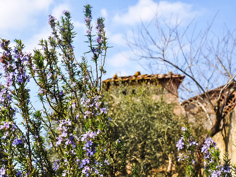 APARTAMENTO IL CARDO