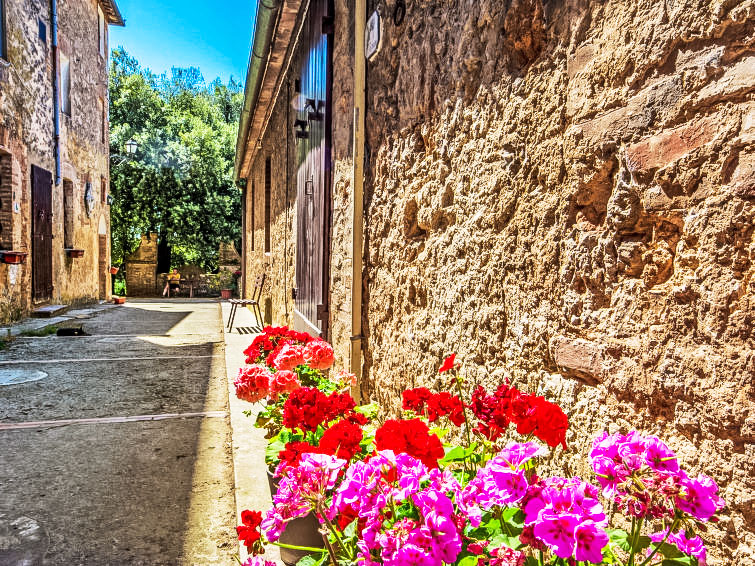 Il Cardo Apartment in Siena