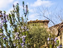 Appartamento Il Cardo