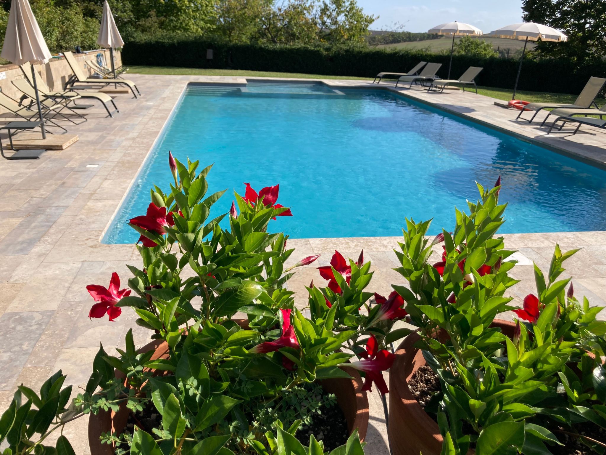Photo of Agriturismo podere il moro