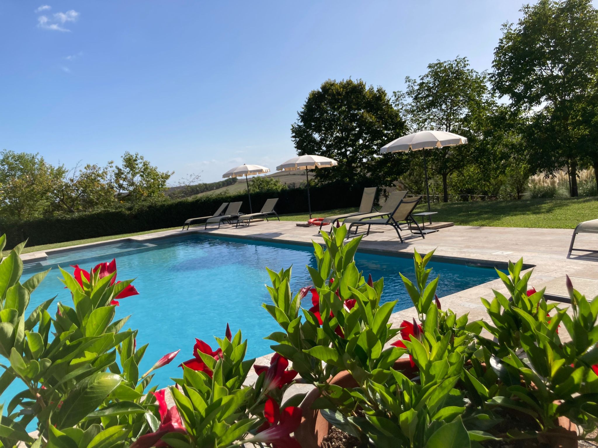Photo of Agriturismo podere il moro