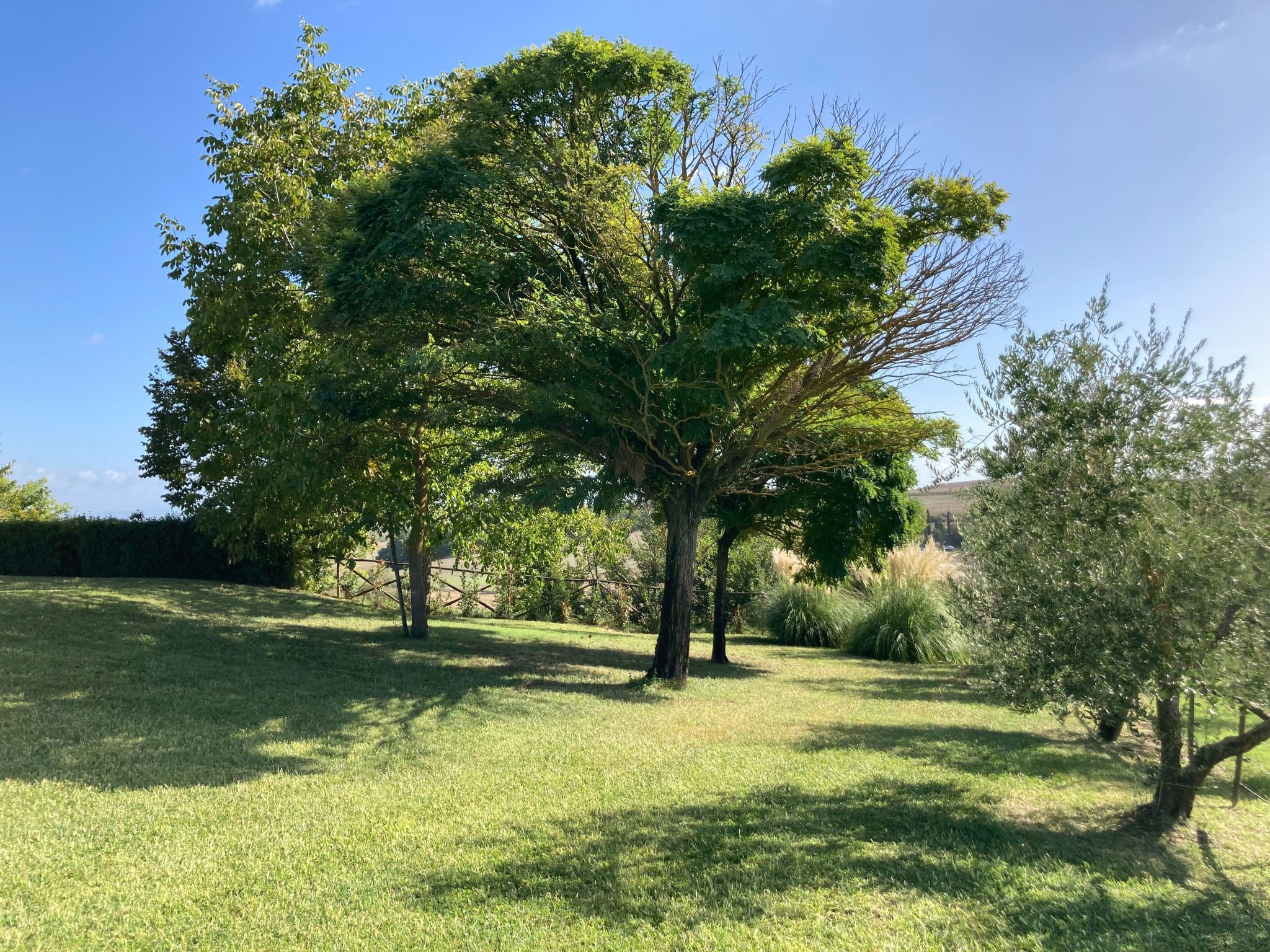 Photo of Agriturismo podere il moro