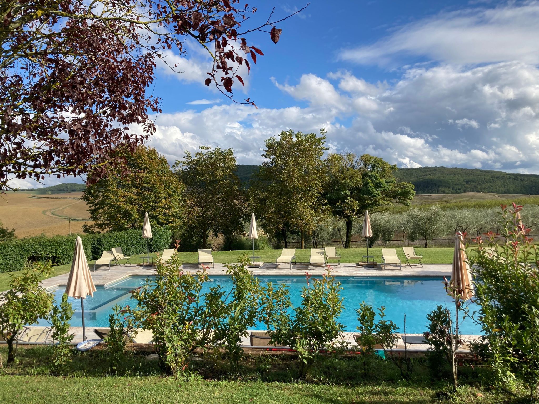 Photo of Agriturismo podere il moro