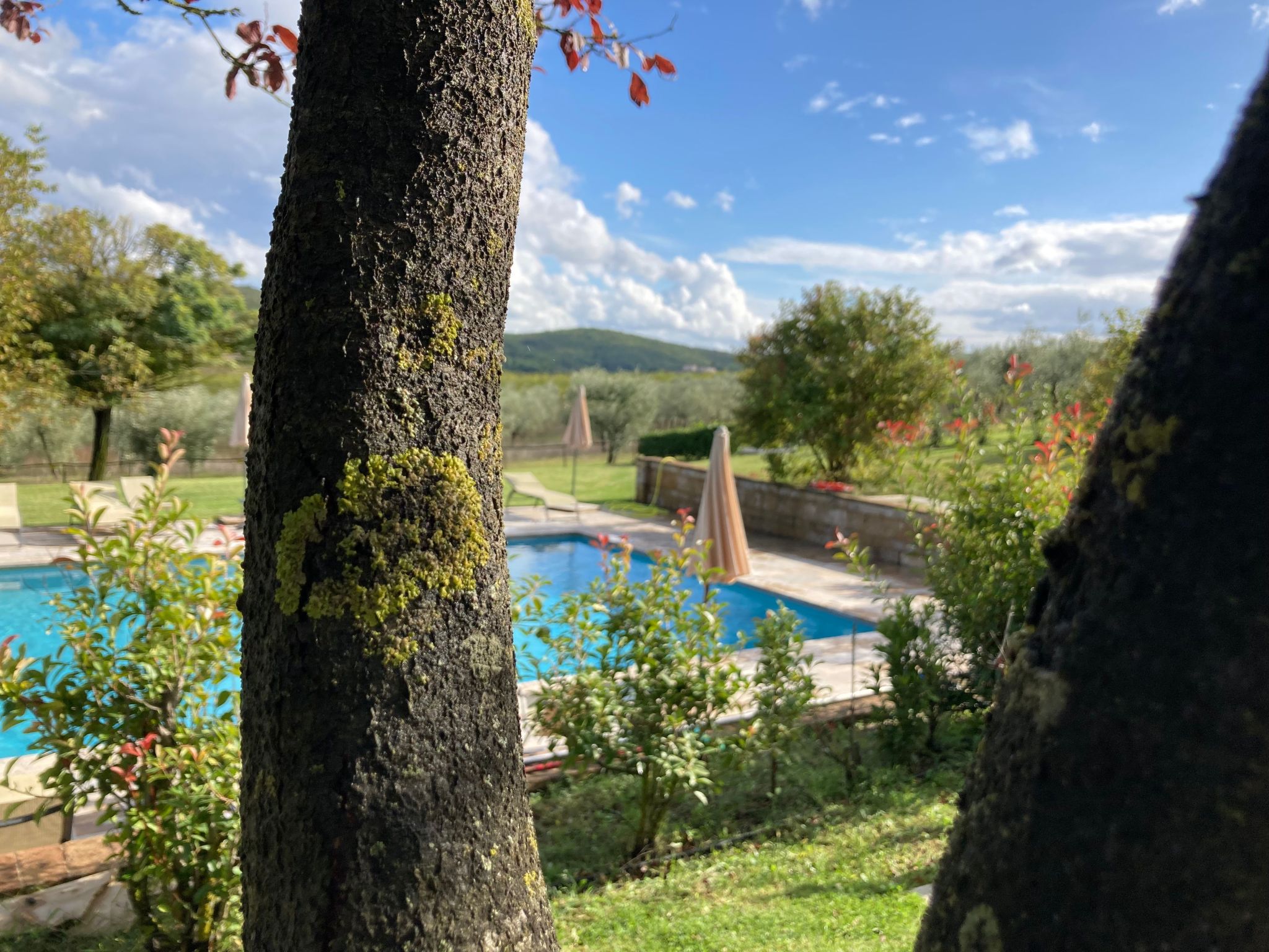 Photo of Agriturismo podere il moro