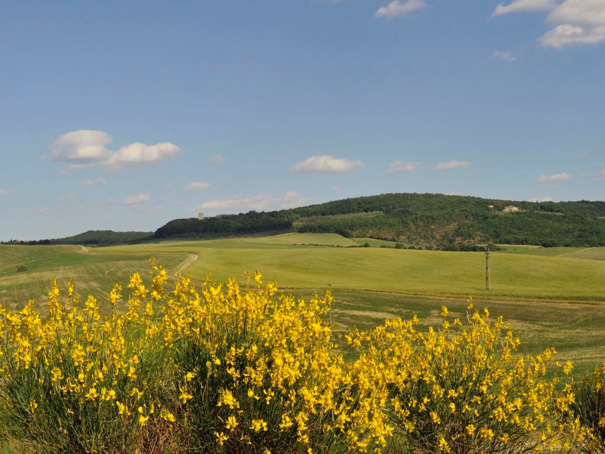 Photo of Agriturismo podere il moro